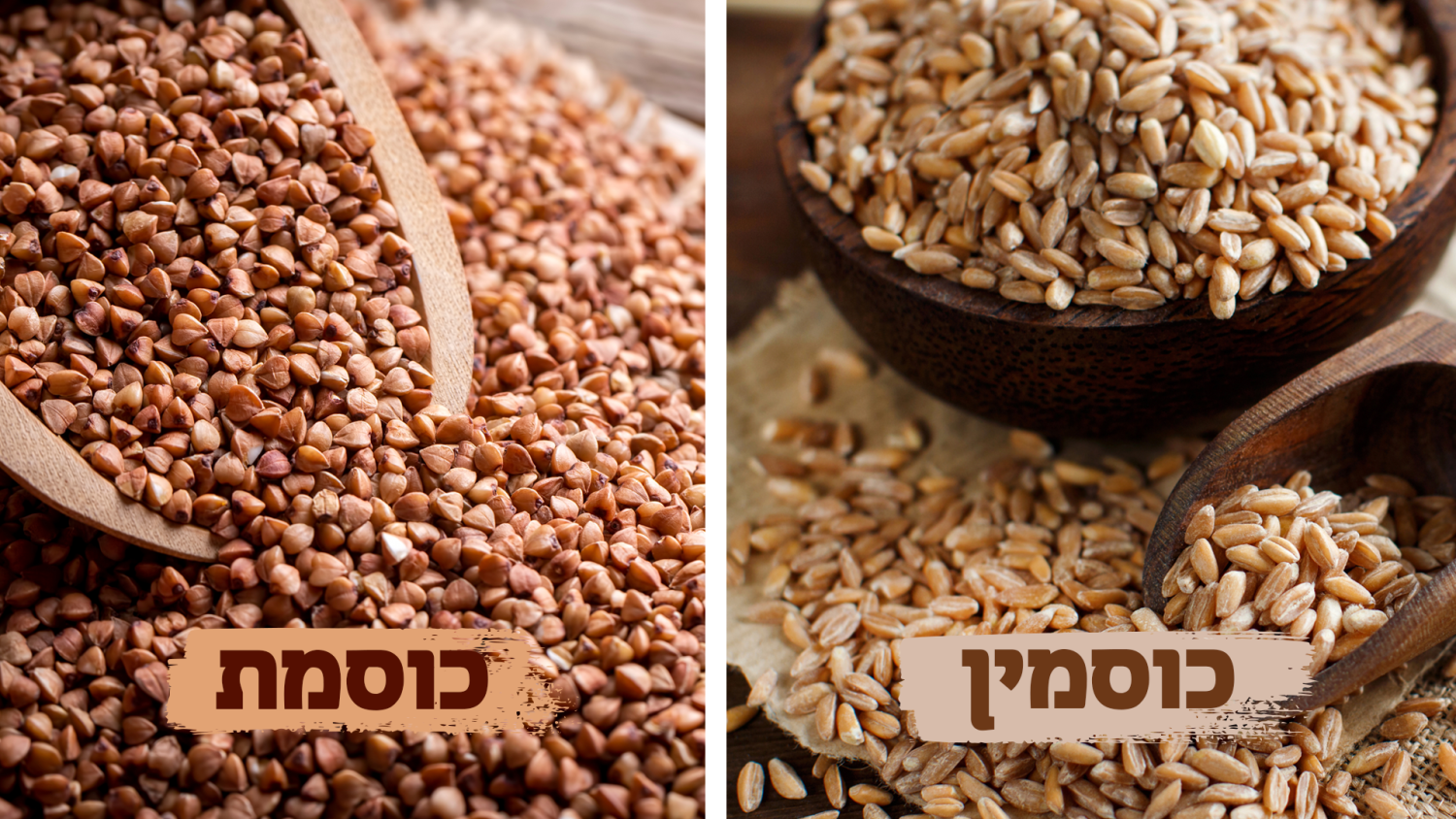 הידעתם מה ההבדל בין כוסמת לכוסמין?