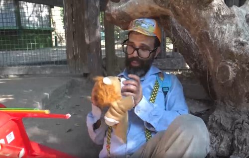 חלומות שמריהו | שמריהו פוגש עיזים בספארי