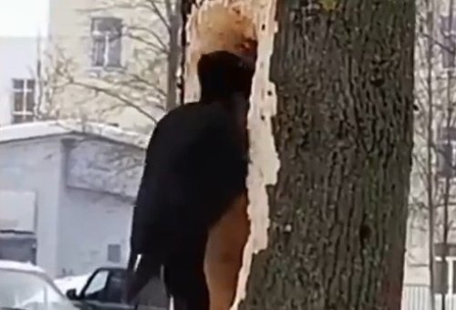 מה דעתכם על הרעיון המקורי לדירה במיקום מרכזי?