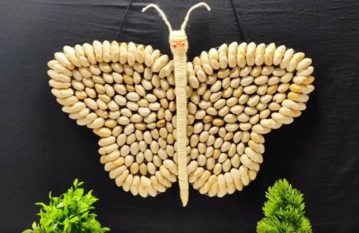 היצירה שהתחפשה: איך קליפות פיסטוקים הופכות לפרפר חמוד?