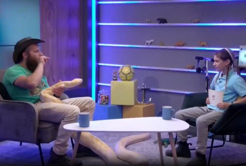 בגובה העיניים | שלמה והחיות
