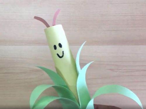 איך מכינים קלח תירס חייכן מבריסטולים צבעוניים?