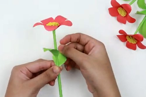פרחי נייר מקסימים | יודעים להכין? בהצלחה