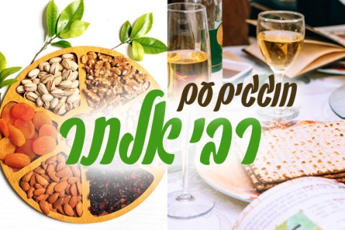 רבי אלתר והילדים | חוגגים יחדיו