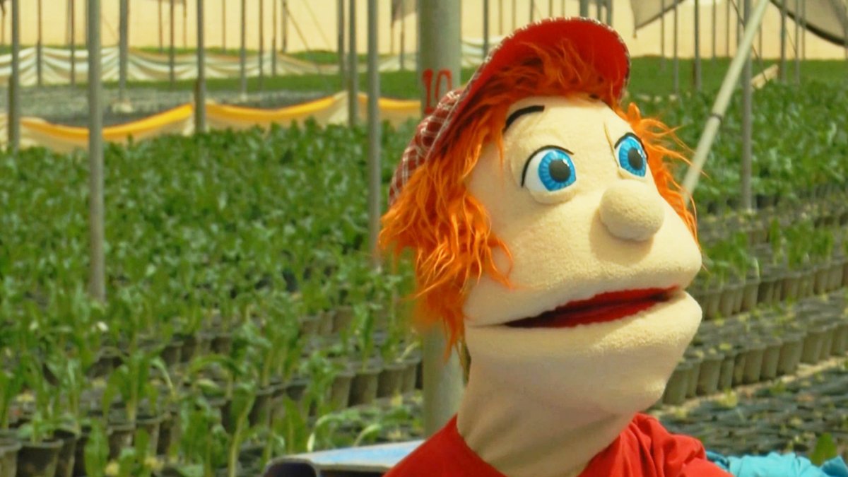 בארצנו הקדושה | ירקות עלים ללא חרקים