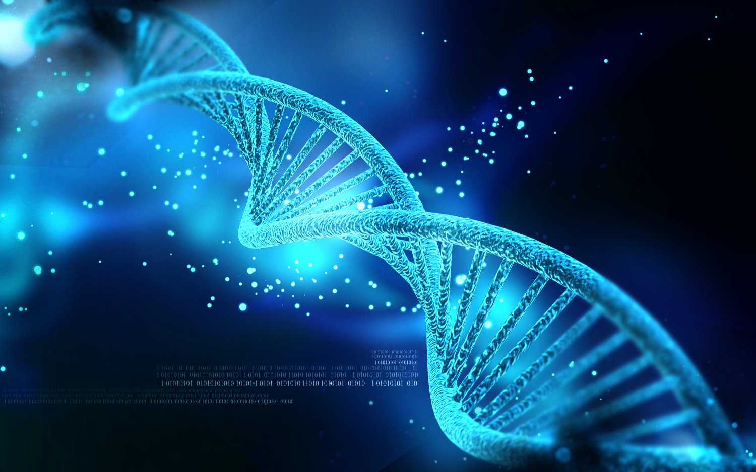 הידעתם איך בנוי ה- DNA?