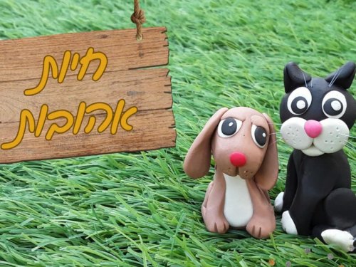 חוג פלסטלינה | מפסלים חיות אהובות