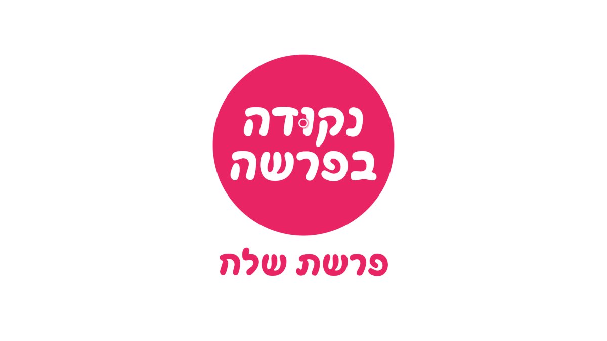 נקודה בפרשה | פרשת שלח. קדושת ארץ ישראל