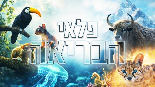 פלאי הבריאה | סדרת טבע מרהיבה באנימציית AI