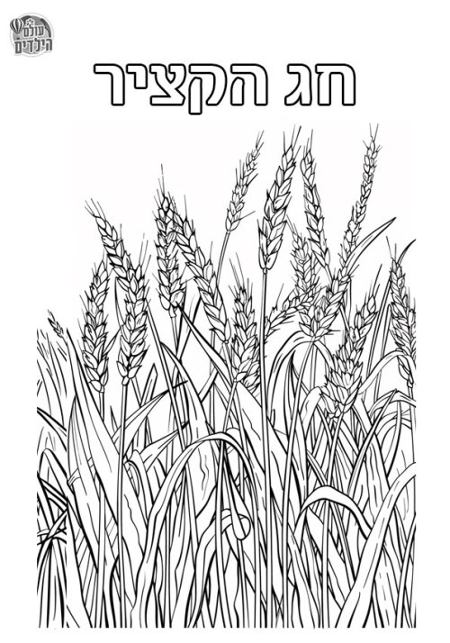 דף צביעה לשבועות | שיבולים, חג הקציר