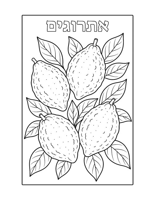 דפי צביעה לסוכות | פרי עץ הדר - צבעו בכיף