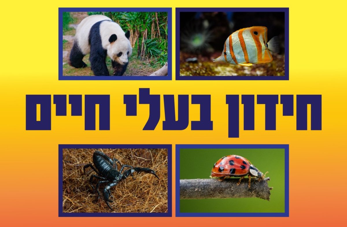 משחק | חידון בעלי חיים
