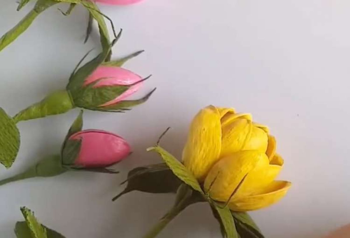 פרחים | מקליפות של פיסטוק