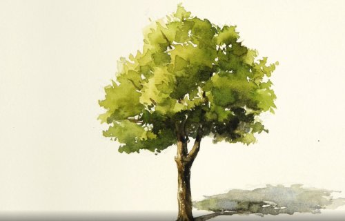 הדרכה חינמית: ציור עץ בצבעי מים. קל כמו שזה נראה
