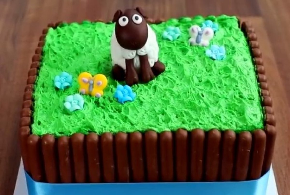 6 רעיונות יצירתיים להפיכת עוגה פשוטה למיוחדת בעזרת קרם צבעוני