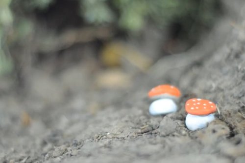 נסו ליצור: פנס רחוב מיניאטורי ופטריה קטנטנה מאבנים