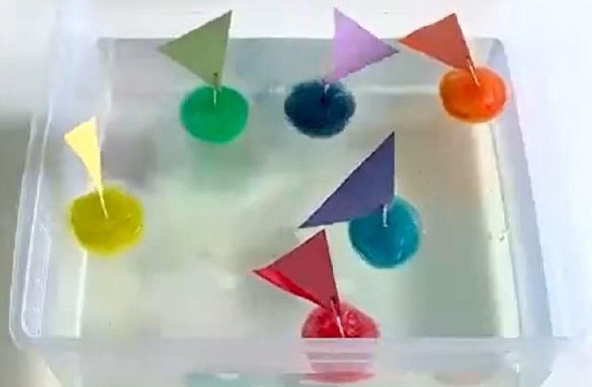 משחק שתוכלו להכין בעצמכם: סירות צפות על המים