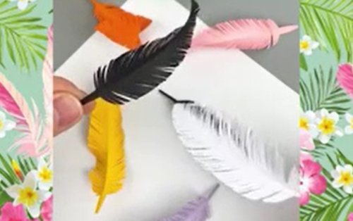 יצירה מנייר: כך תכינו נוצות יונה מיוחדות