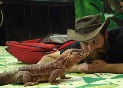 מופע החיות של שלמה | הסרט המלא