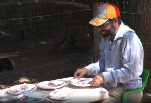 חלומות שמריהו | שמריהו מבקר בכלוב התוכים