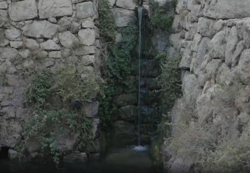 סטף בית השלחין