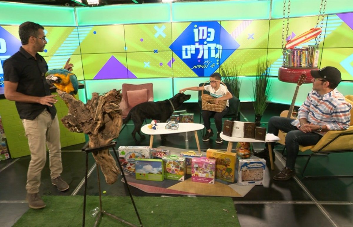 כמו גדולים, עונה 2 | אורחים מעניינים והרבה הפתעות. עם ישי לפידות ויונתן זיו - מתופפים בקצב