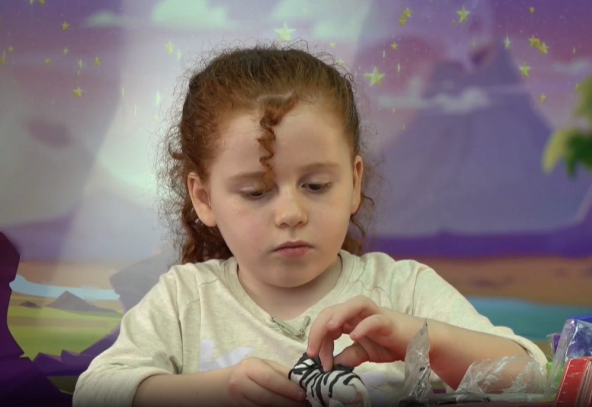 בחדר של הדס | זברה