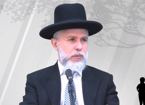 הרב זמיר כהן בסדנת חינוך - פרק ח'