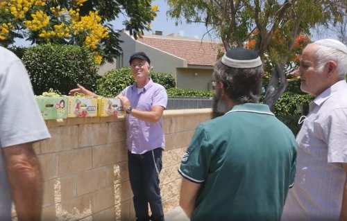 ביעור שביעית