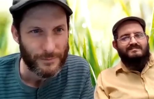 אלף אלף | שמירת שבת