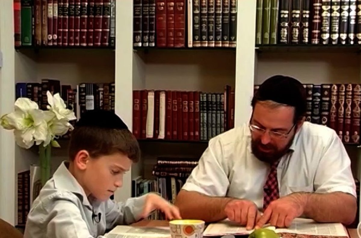 אבות ובנים | שני שוורים