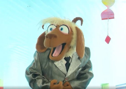 עודד וחברים | דג מלוח