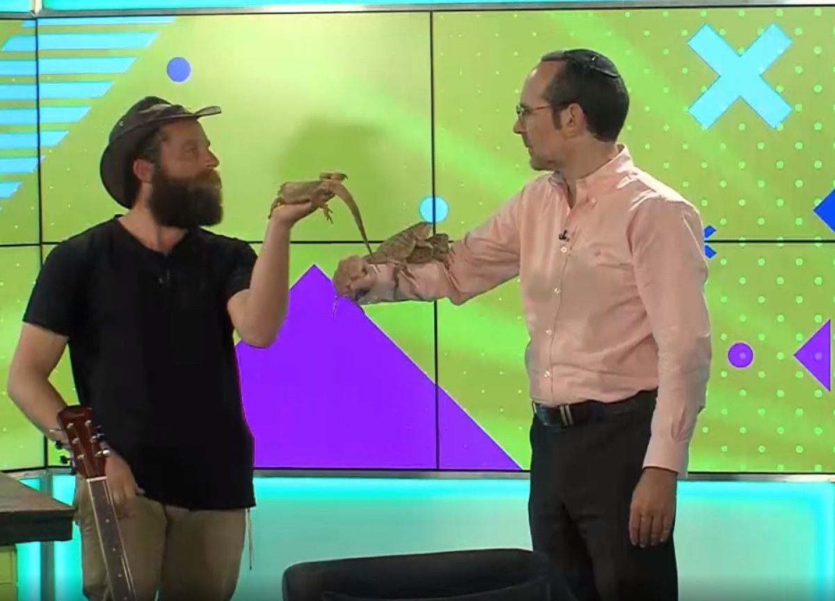 כמו גדולים, עונה 1 | תכנית אירוח עם ישי לפידות  - מי אוהב חיות?