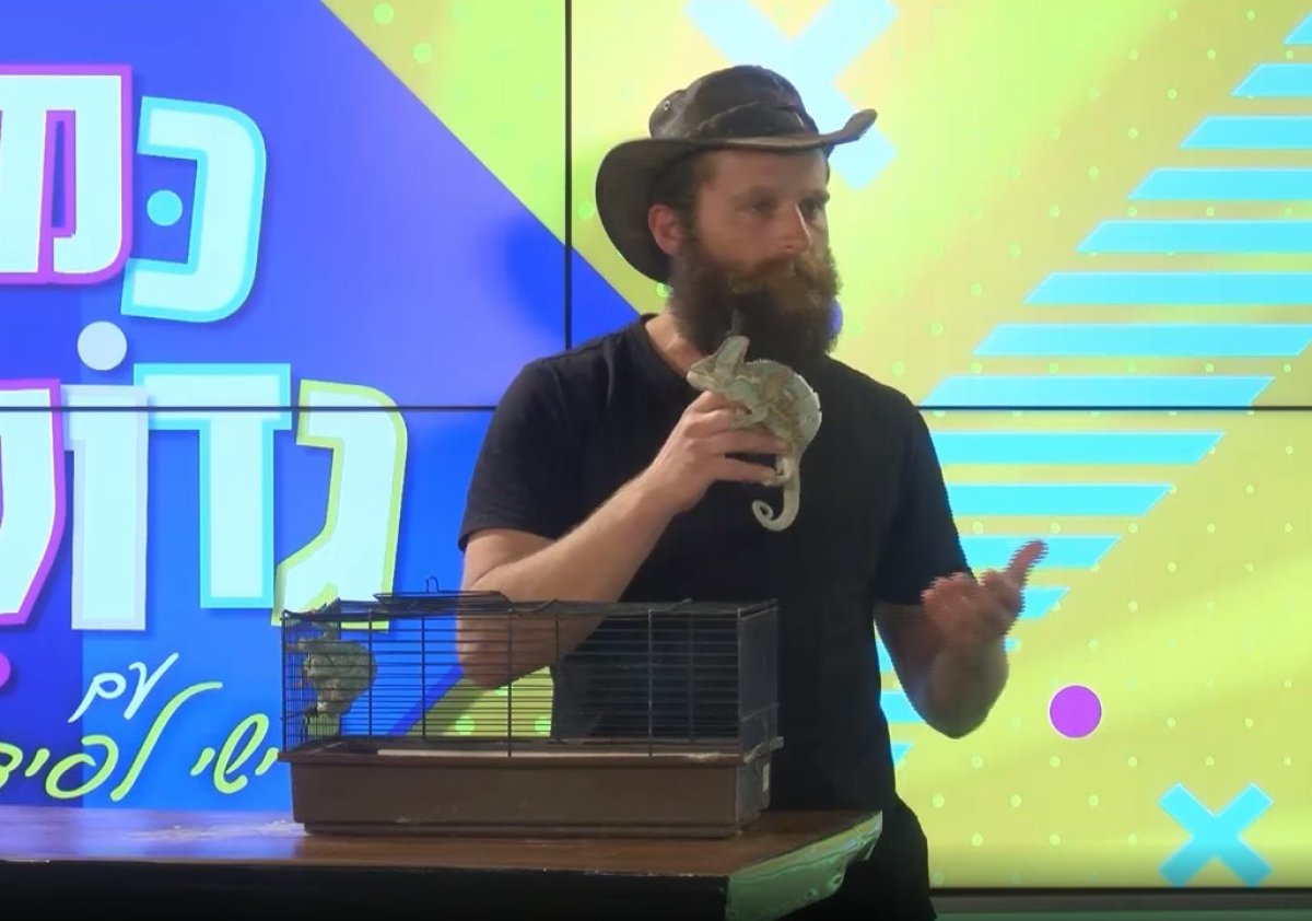 כמו גדולים, עונה 1 | תכנית אירוח עם ישי לפידות  - מופע חיות שילדים אוהבים