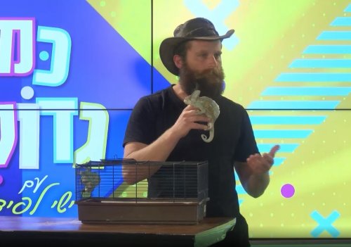 מופע חיות שילדים אוהבים