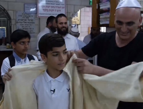 הבבא סאלי